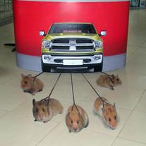 Рекламный стикер с полноцветной печатью